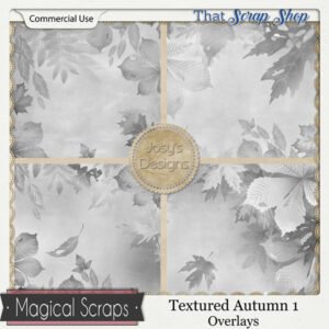 Textured Autumn Overlays 1 {CU}
